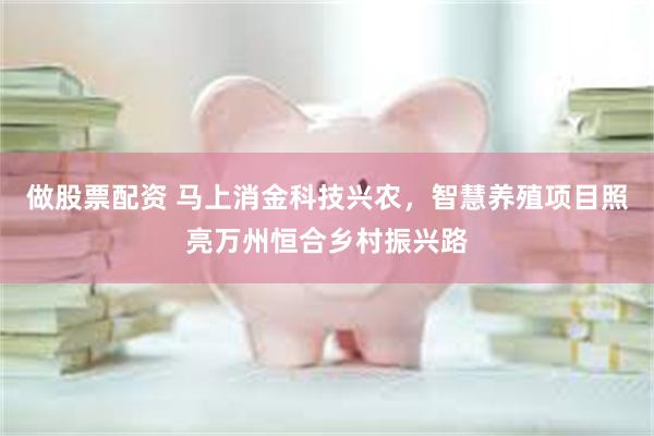 做股票配资 马上消金科技兴农，智慧养殖项目照亮万州恒合乡村振兴路