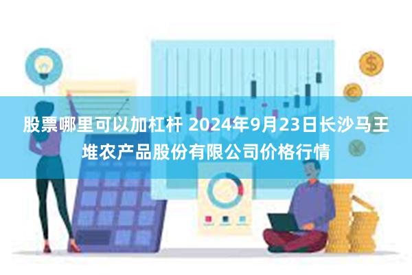 股票哪里可以加杠杆 2024年9月23日长沙马王堆农产品股份有限公司价格行情