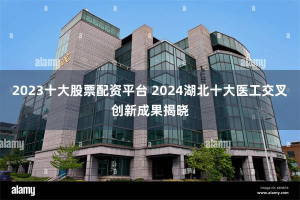 2023十大股票配资平台 2024湖北十大医工交叉创新成果揭晓