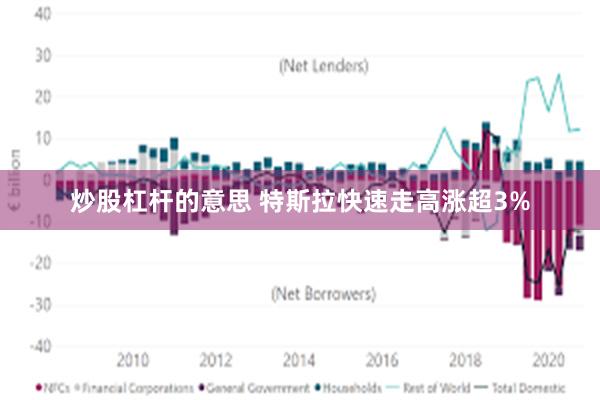 炒股杠杆的意思 特斯拉快速走高涨超3%