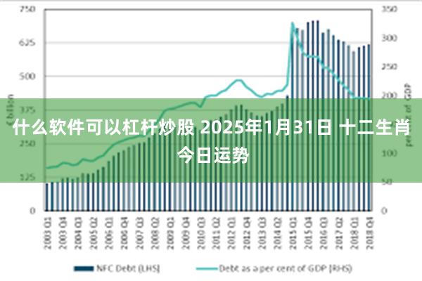 什么软件可以杠杆炒股 2025年1月31日 十二生肖 今日运势