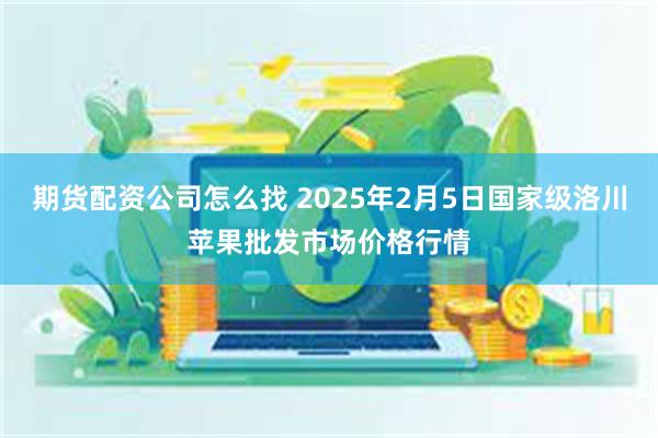 期货配资公司怎么找 2025年2月5日国家级洛川苹果批发市场价格行情