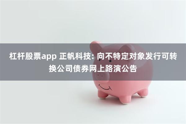 杠杆股票app 正帆科技: 向不特定对象发行可转换公司债券网上路演公告